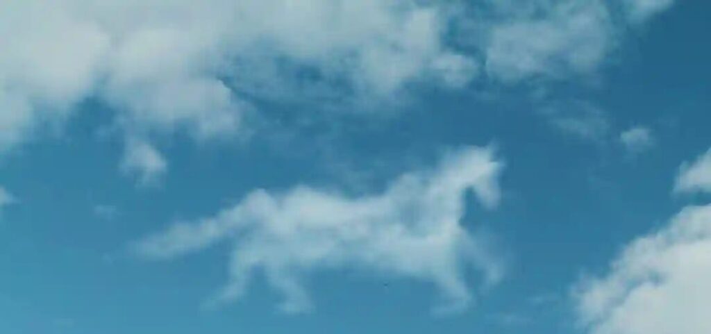 Kings Of Leon Mustang Song Meaning