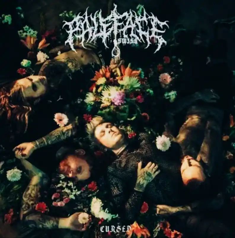 My Blood On Your Hands Lyrics - Paleface Swiss